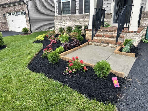 Complete landscape transformation featuring paver walkways, garden beds, and professional lawn care